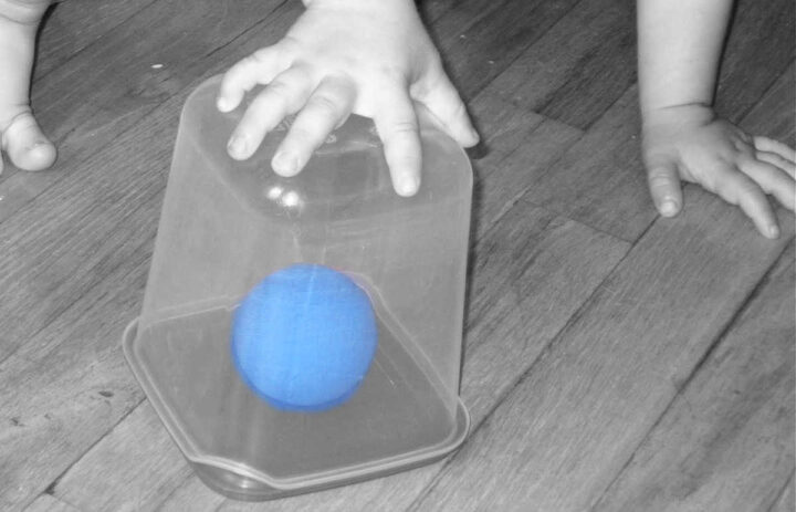 Blue ball in a plastic container
