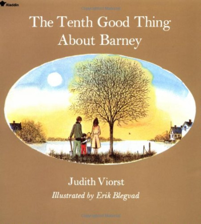 the tenth good thing about barney book cover