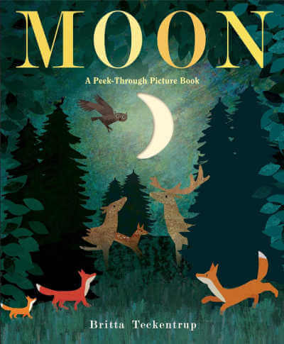 Moon: A Peek-Through Picture Book.