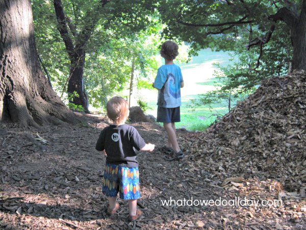 Exploring nature and throwing rocks over the hill 