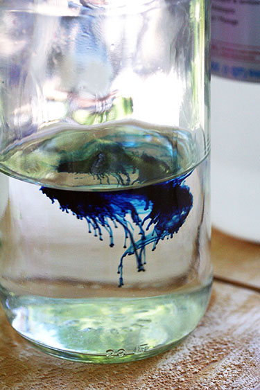 Blue food coloring spreading out in water in a glass bottle. 