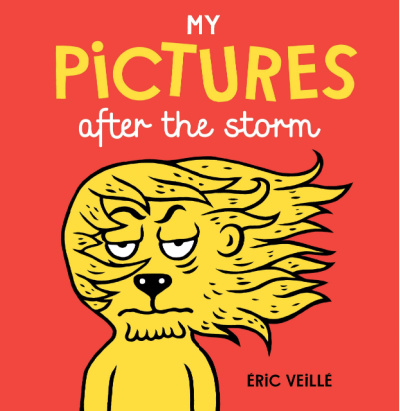 my pictures after the storm book cover