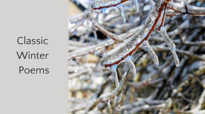 classic winter poems and icy branches
